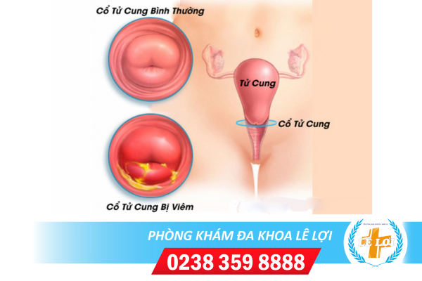 Nội Dung đoạn Văn Bản Của Bạn - 2024-04-23t144454.747