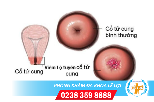 Nội Dung đoạn Văn Bản Của Bạn - 2024-04-24t092901.281