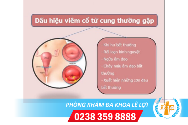 Nội Dung đoạn Văn Bản Của Bạn - 2024-04-24t093015.698