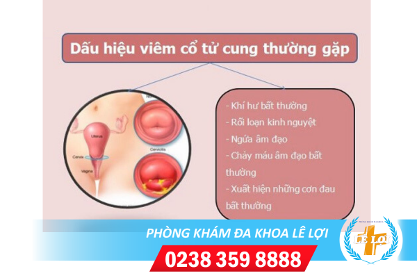 Nội Dung đoạn Văn Bản Của Bạn - 2024-04-24t093737.402