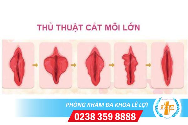 Cat-moi-lon-o-dau-co-dat-khong-2 (2)