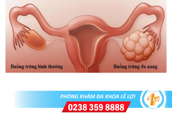 Nội Dung đoạn Văn Bản Của Bạn - 2024-04-23t152547.790